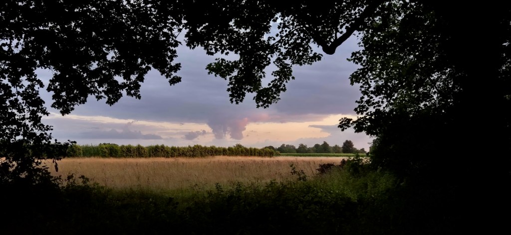 Writing retreat in Heerlijckyt with the Later in Life Intimacies&nbsp;team